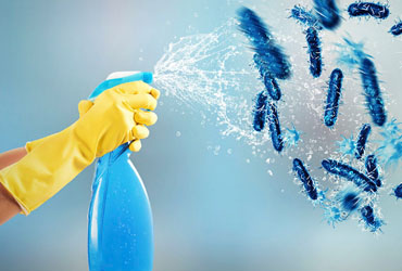 Disinfection Solutions