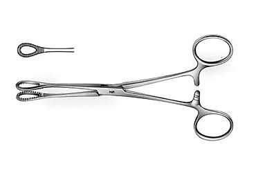 Sponge Holding Forceps